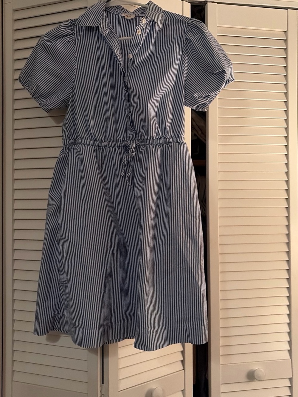 J. Crew Blue and White Striped Button-Up